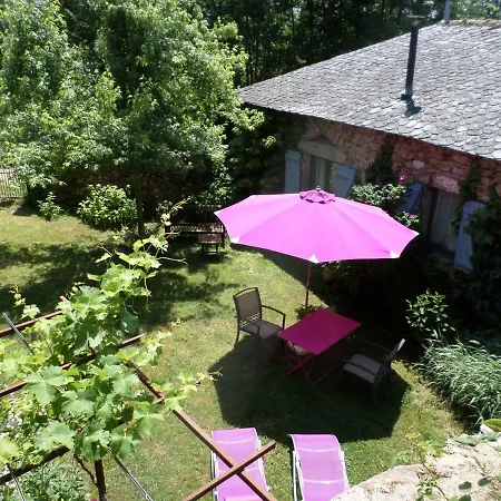 La Belle Poule - Sebright *